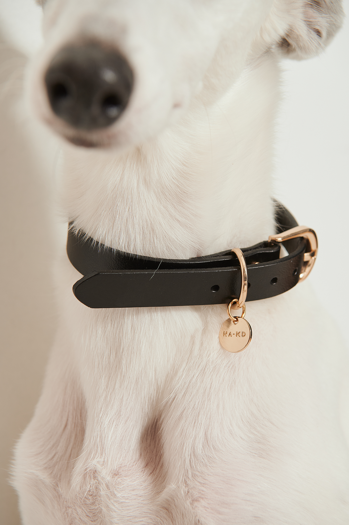 Black Croco Basic Leather Dog Collar