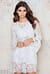 Trumpet Sleeve Lace Dress