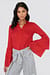 Ruffle Sleeve Shirt