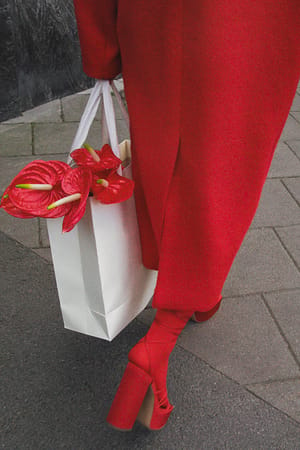 Red Chaussures en tissu satiné à plateforme et lanière