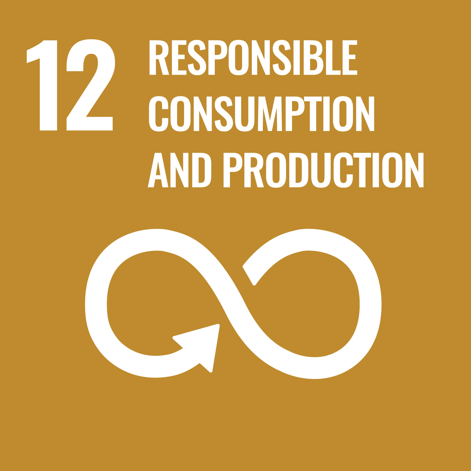 SDG 12 – Responsible consumtion and production