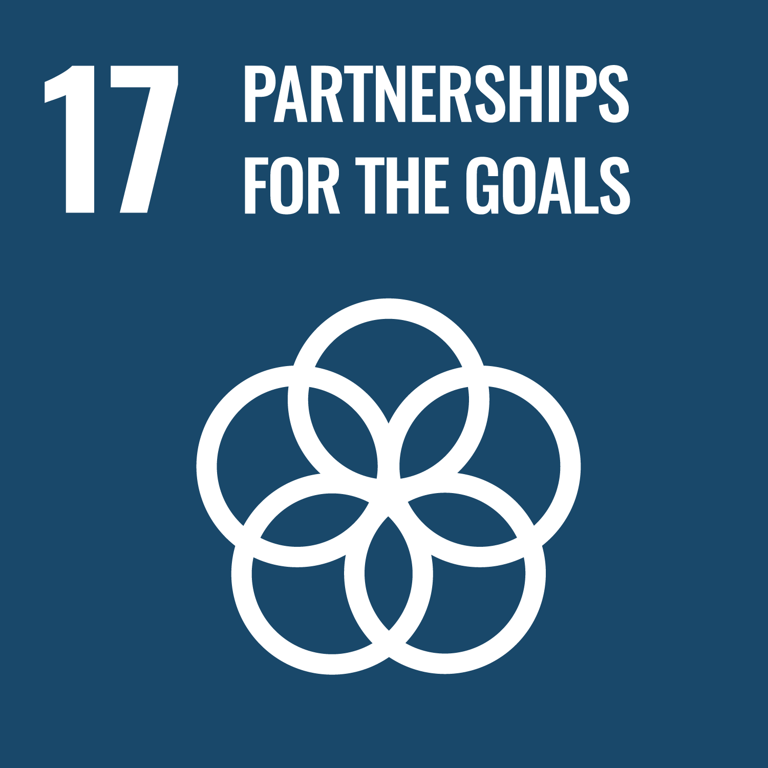 SDG 17 – Partnerships for the goals